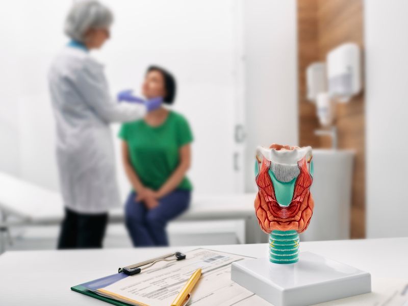 חשיבות בלוטות הרוק